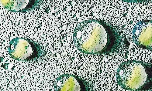 SU YALITIMINDA 4 ALTIN KURAL